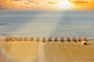 Mamaia caută soluții de branding